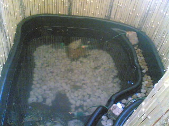 04112007013.jpg