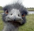Hi! The name is Flip