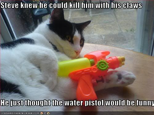 funny-pictures-cat-has-water-pistol.jpg