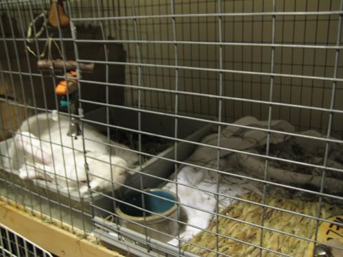 more snoozing