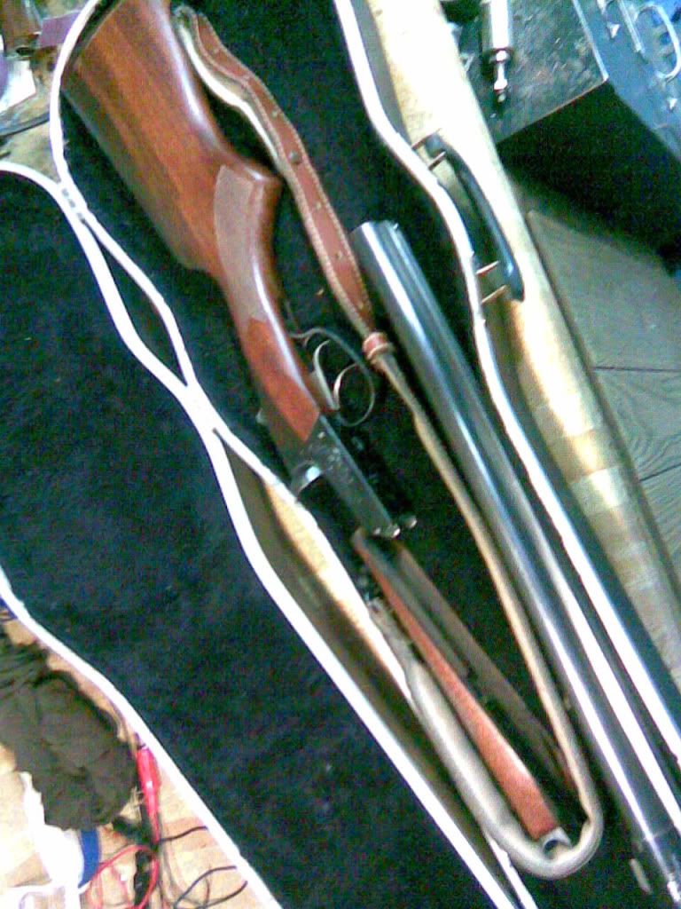 Violin case with shotgun