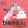 Birthday.gif