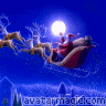 Santa's Sleigh Pictures, Images and Photos