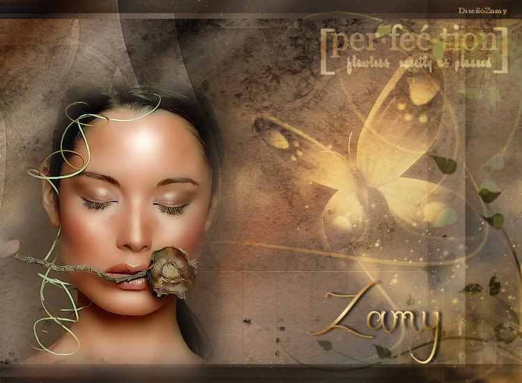ZAMY-30-08-09-3.jpg 
