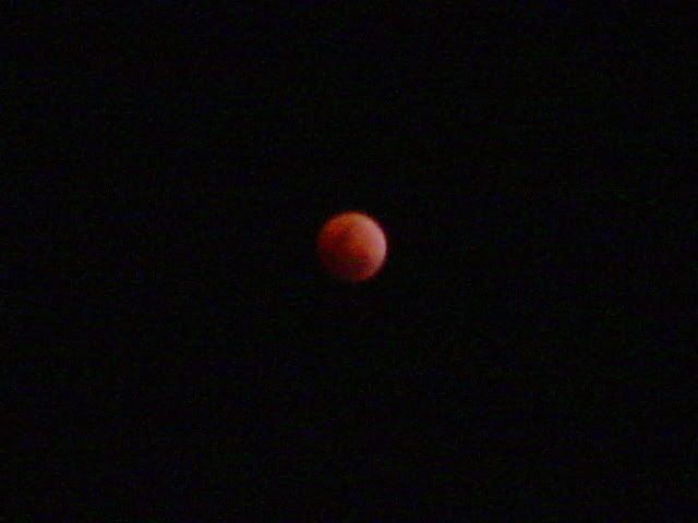 DSC01169.jpg