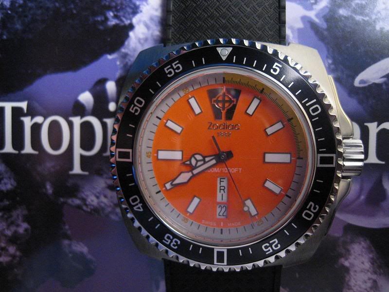 Fresh from the bay Zodiac V Wolf WatchUSeek Watch Forums