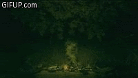 5c761168b6.gif
