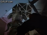 5c7e41e9ee.gif