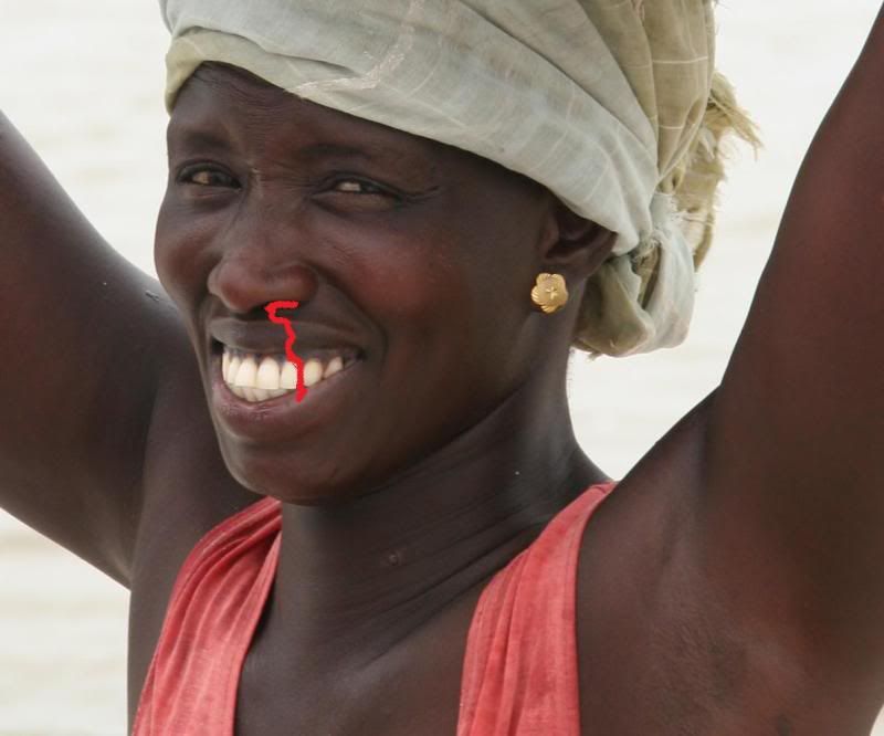 Senegal_-_Smiling_lady.jpg
