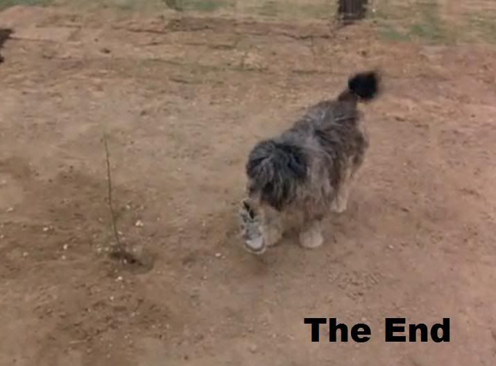 end-3.jpg