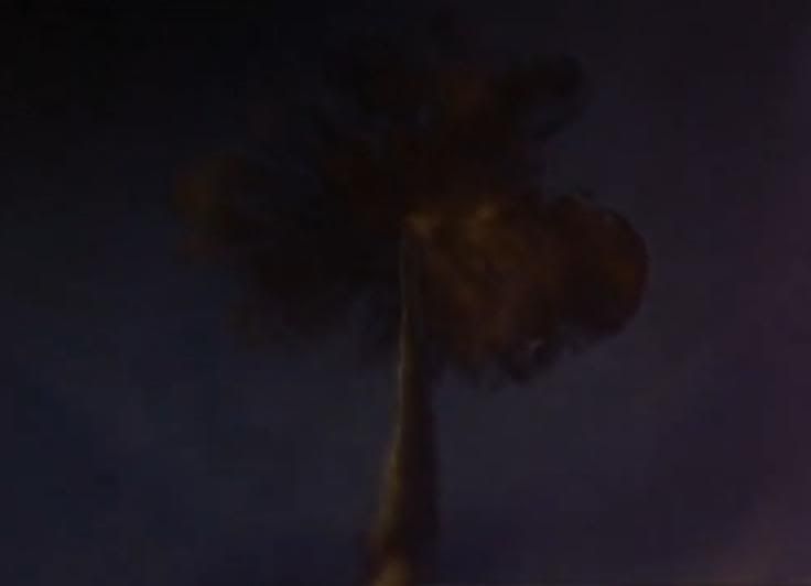 sky.jpg