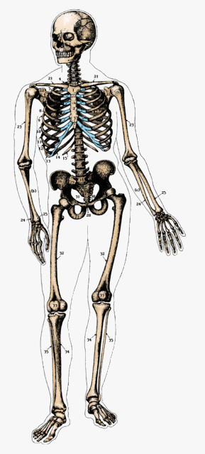 [Linked Image from i196.photobucket.com]