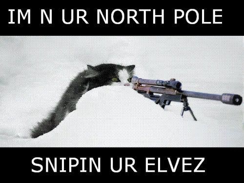 cat_sniper.jpg
