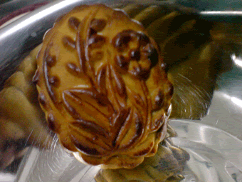 Photo Sharing and Video Hosting at Photobucket