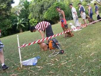 Photo Sharing and Video Hosting at Photobucket