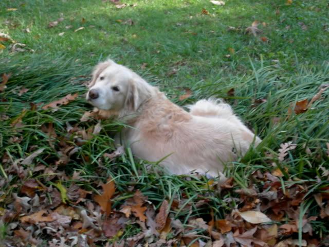 DSCN0866.jpg