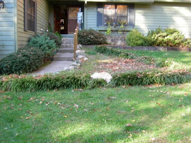 DSCN0870.jpg