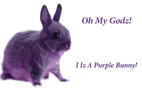 real purple bunnies