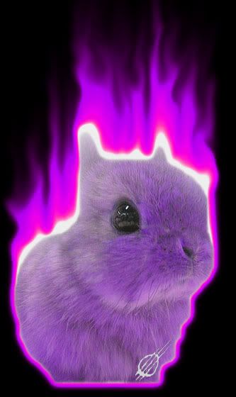 purple bunnies