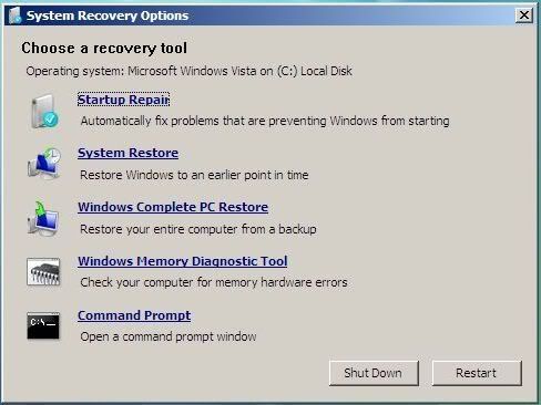 Windows Vista Loading Screen Forever