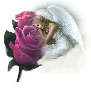 roses angel good night Pictures, Images and Photos