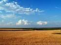 Steppe.jpg