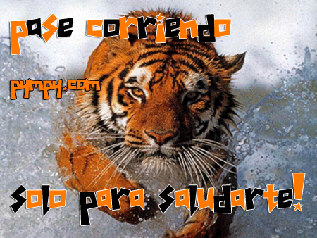 pase corriendo