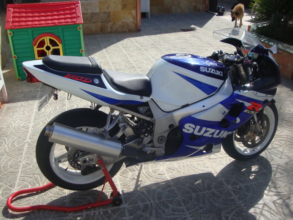 DSC01346.jpg