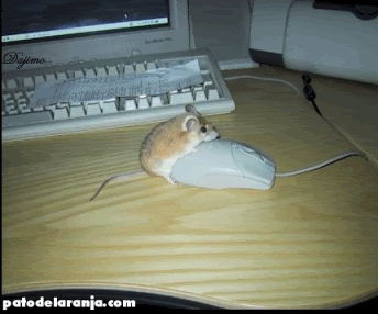 Mouse-1.gif