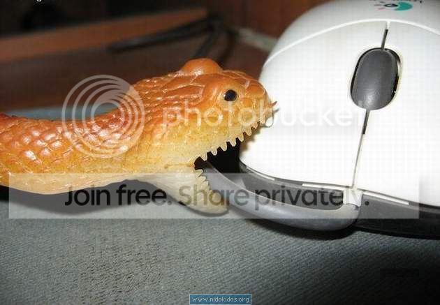 Mouse.jpg