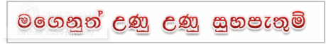 Picture1.png
