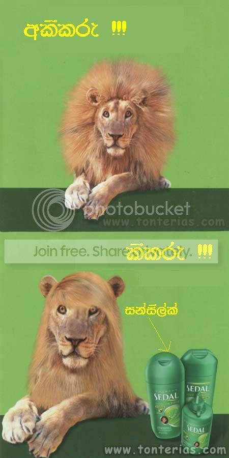 Sunsilk.jpg