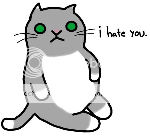 cats-hate-you-and-everyone-else.jpg