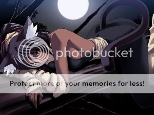 http://i196.photobucket.com/albums/aa178/Nanda_cris/yoruichi.jpg