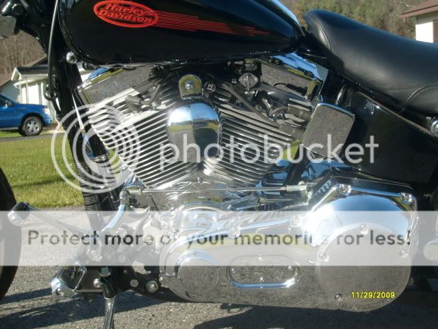 softail primary cover