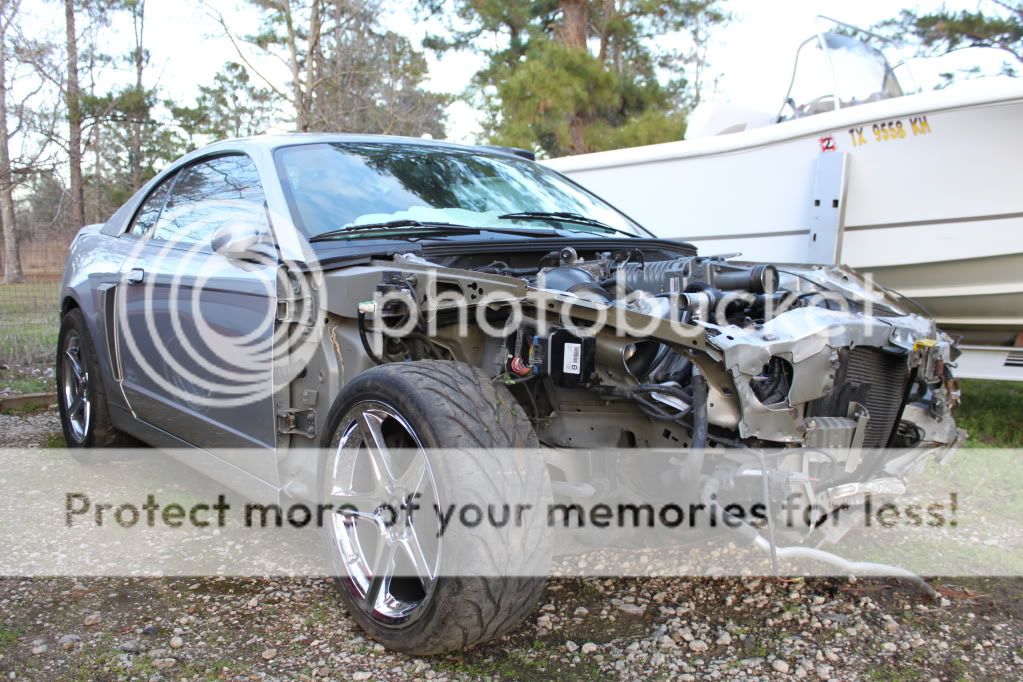 Mustang Terminator For Sale In Texas