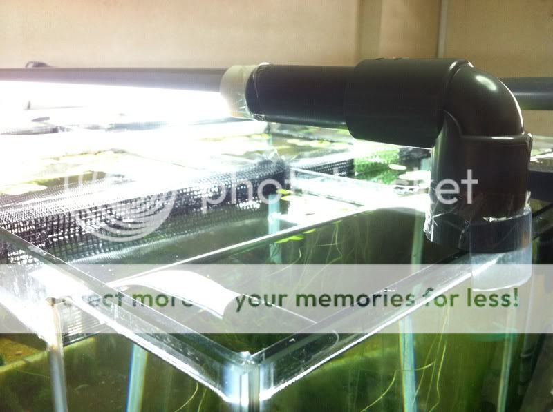 DIY T8 LED tube PVC pipe light stand