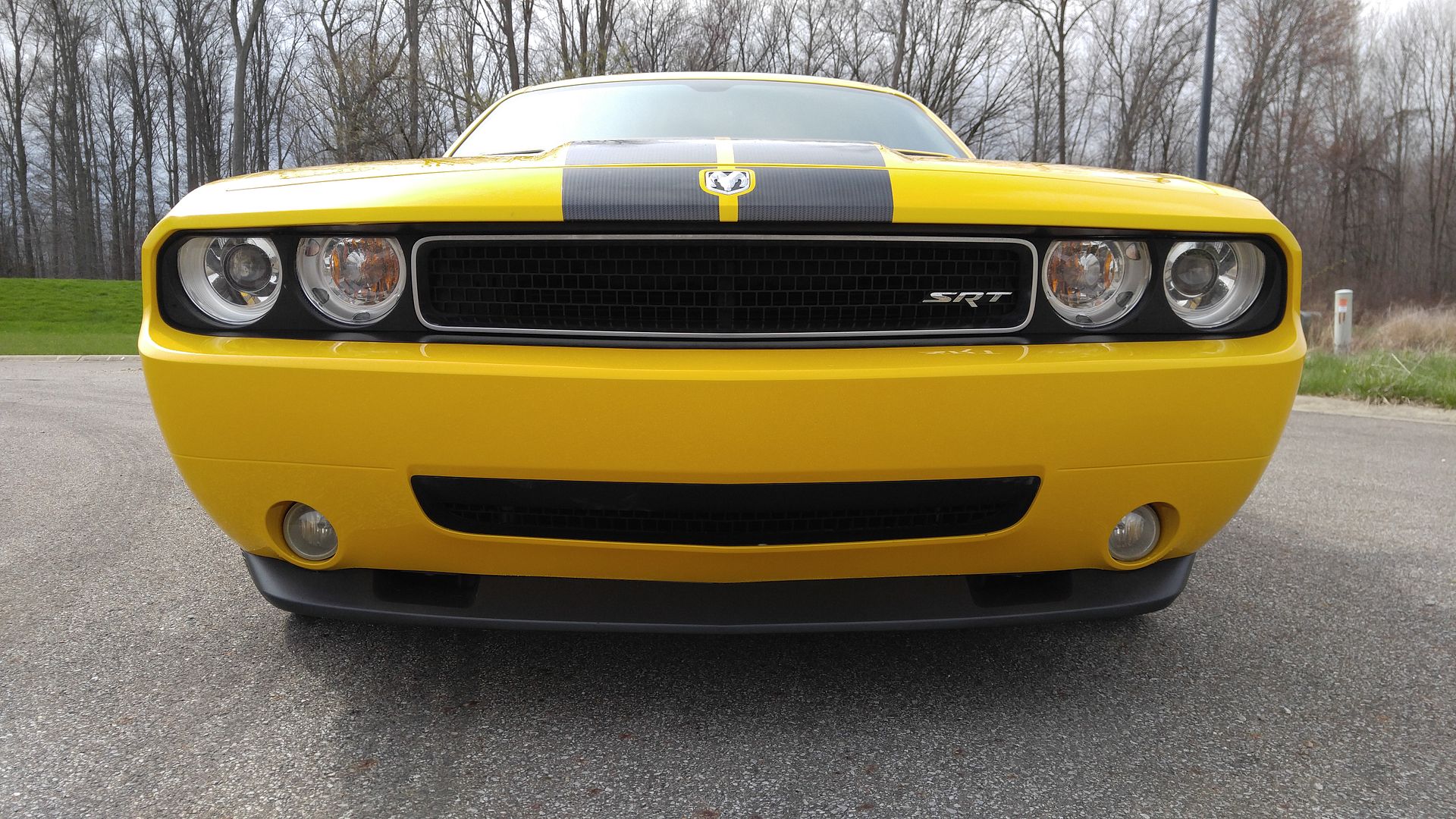  photo YELLOW CHALLENGER 3.jpg